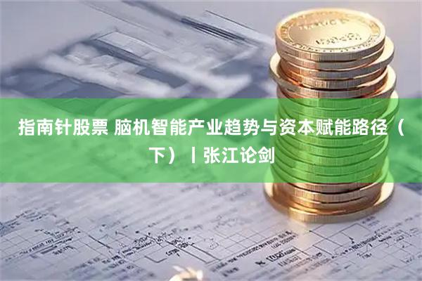 指南针股票 脑机智能产业趋势与资本赋能路径（下）丨张江论剑