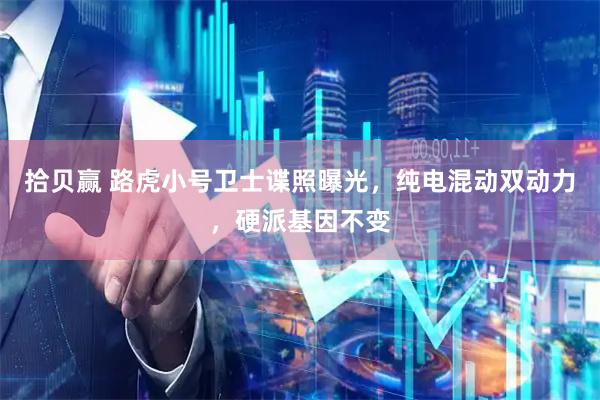 拾贝赢 路虎小号卫士谍照曝光，纯电混动双动力，硬派基因不变
