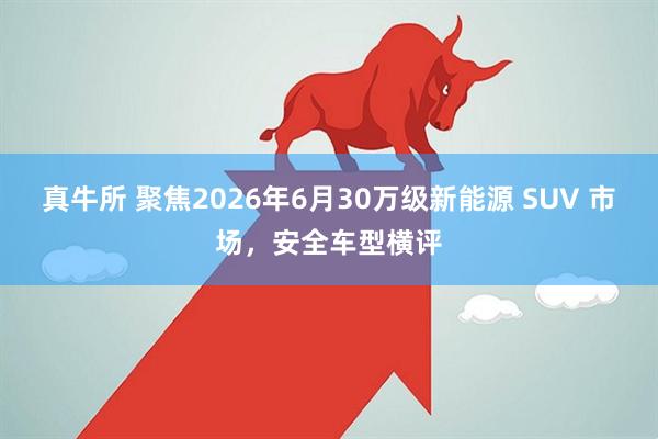 真牛所 聚焦2026年6月30万级新能源 SUV 市场，安全车型横评