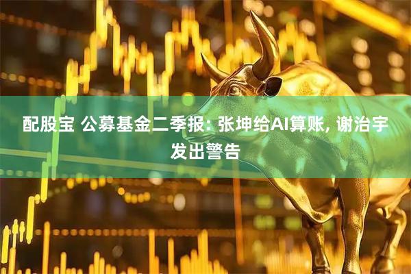 配股宝 公募基金二季报: 张坤给AI算账, 谢治宇发出警告