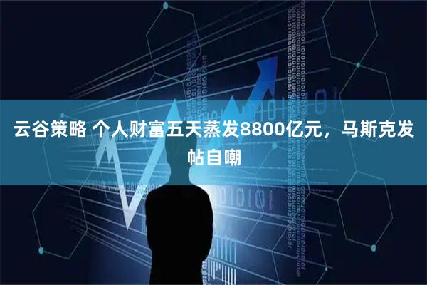 云谷策略 个人财富五天蒸发8800亿元，马斯克发帖自嘲